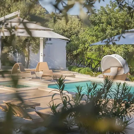 Tenuta Olive Alive Guest house 3*