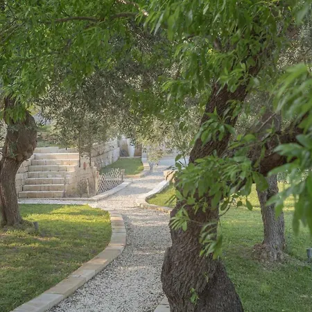 Tenuta Olive Alive Noto