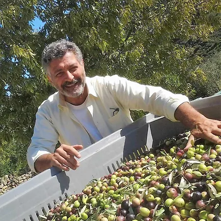Tenuta Olive Alive Guest house 3*