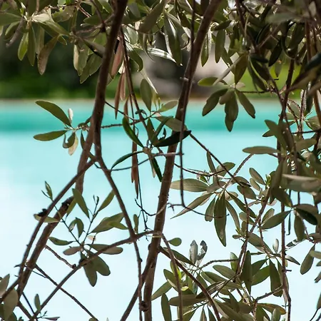 Tenuta Olive Alive Guest house 3*