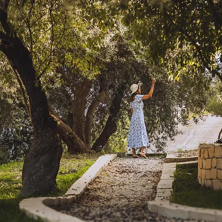 Tenuta Olive Alive Noto