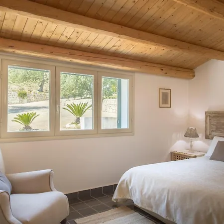 Tenuta Olive Alive Affittacamere