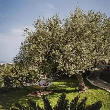 Tenuta Olive Alive