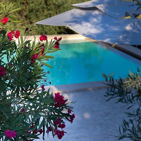 Tenuta Olive Alive 4* Noto